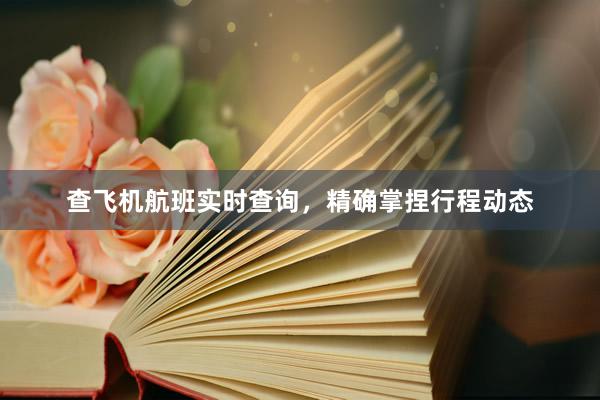 查飞机航班实时查询，精确掌捏行程动态