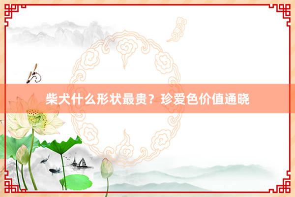柴犬什么形状最贵？珍爱色价值通晓